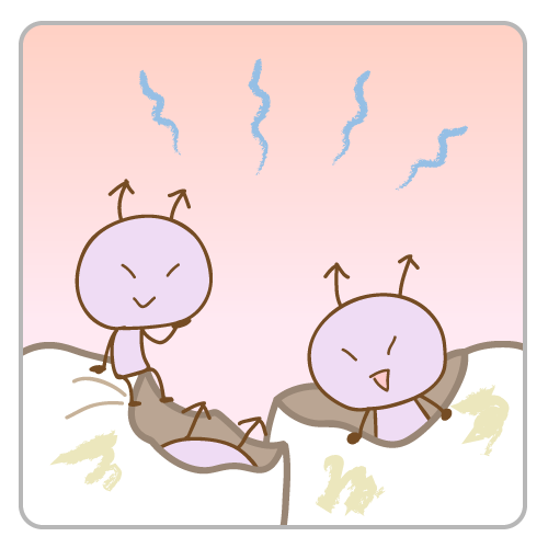 酸による歯の溶解
