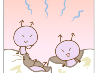酸による歯の溶解