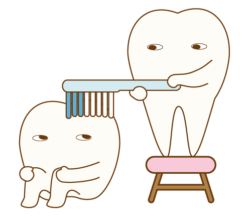 歯と歯ブラシのイラスト